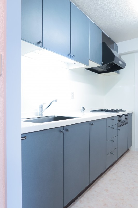 T's garden府中5階 キッチン