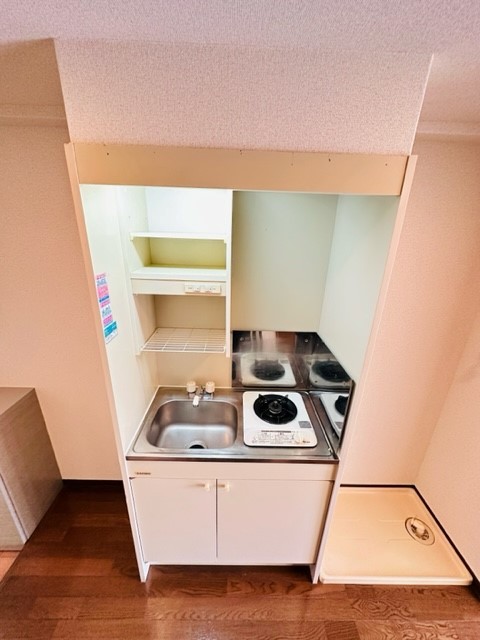 Ｂｉｇ　Ｔｈｒｏｕｇｈ0205号室 キッチン