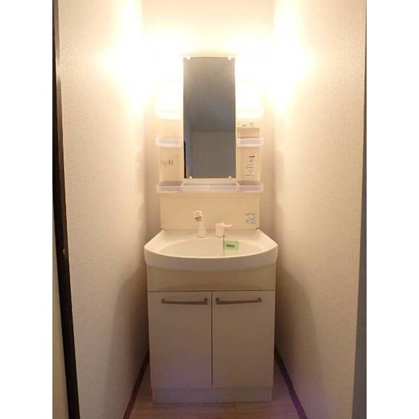 新葉ラピス南柏0103号室 洗面