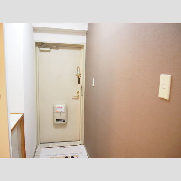 ティーワイパレス204号室 玄関