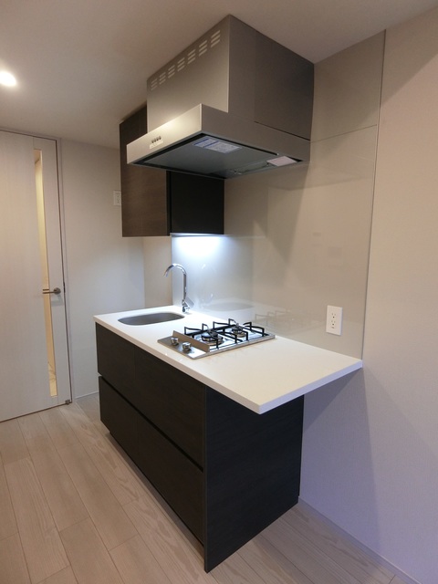 ザ・パークハビオ高円寺レジデンス Aタイプ2021年12月撮影 同タイプ107号室の写真です。