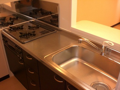 レオネクストＹＡＭＡＺＡＫＩ103号室 キッチン