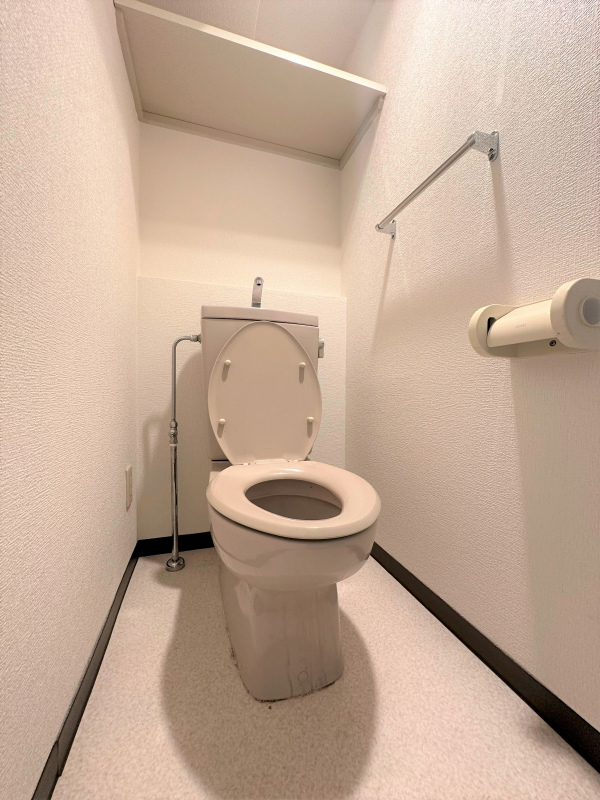 プラザ仲町台センター6階 トイレ