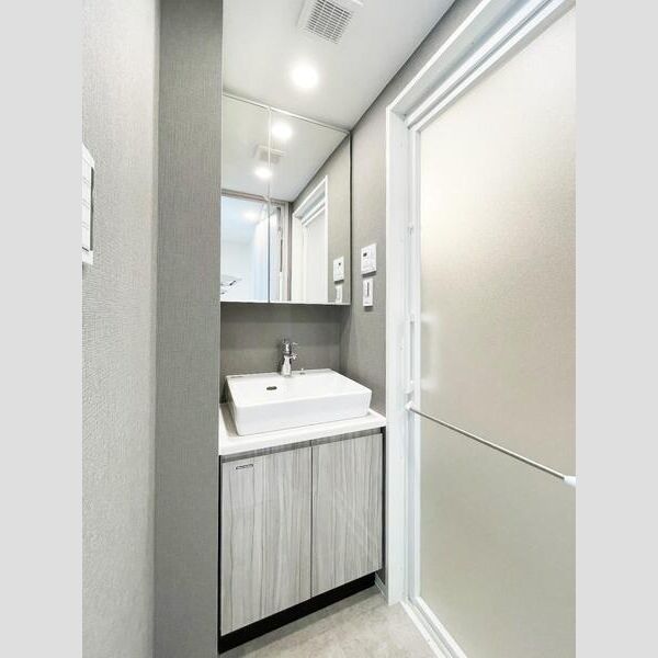 S-RESIDENCE駒沢大学駅前103号室 洗面