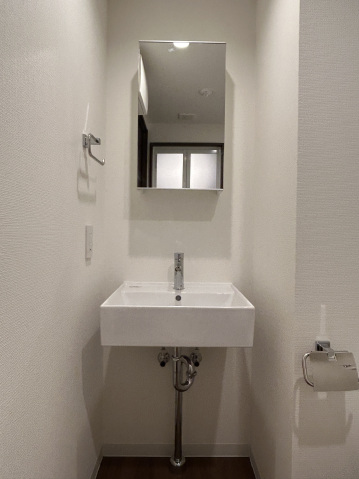 スカイラシクラス平和台203号室 洗面