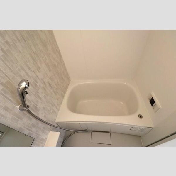 ルリアン江戸川301号室 浴室