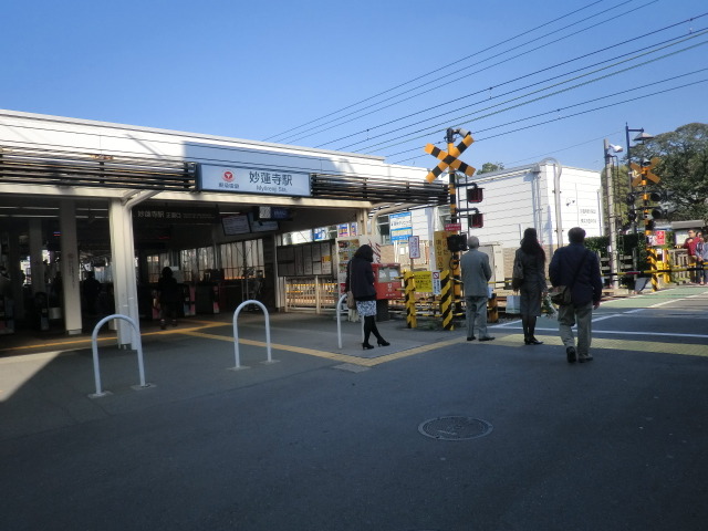 サンハイツ 【その他】妙蓮寺駅（東急 東横線）まで773ｍ
