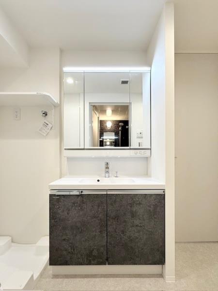 エレミ本蓮沼1階 洗面