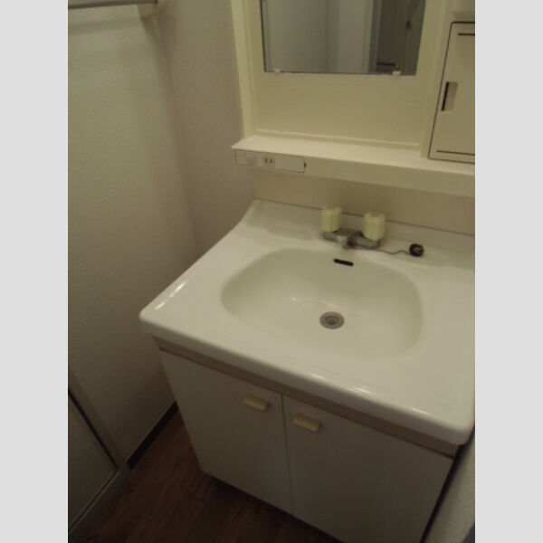 ロイヤルタウン泉　D102号室 洗面台