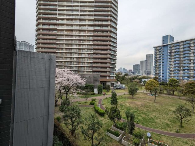 ケーディーエックスレジデンス豊洲431号室 その他