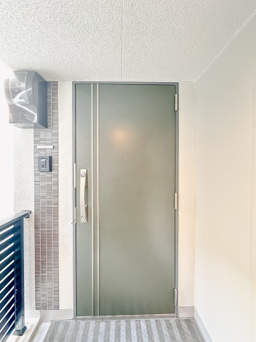 スカイコートリュクス品川大崎101号室 玄関