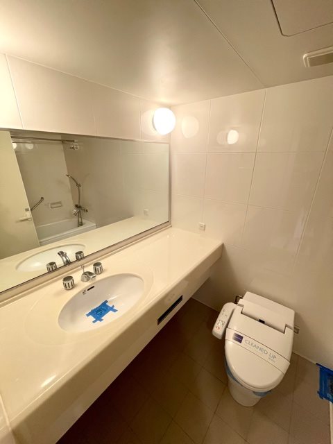 レジディア市ヶ谷Ⅱ3階 洗面