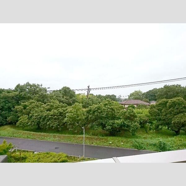 レイクガーデン305号室 眺望