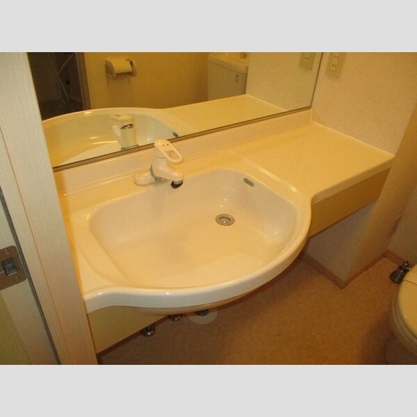 アネックスますや 洗面台