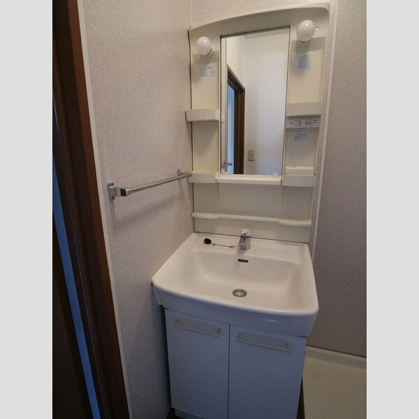 Family Court　C102号室 洗面台