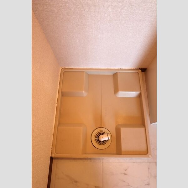 カメリア101号室 洗面