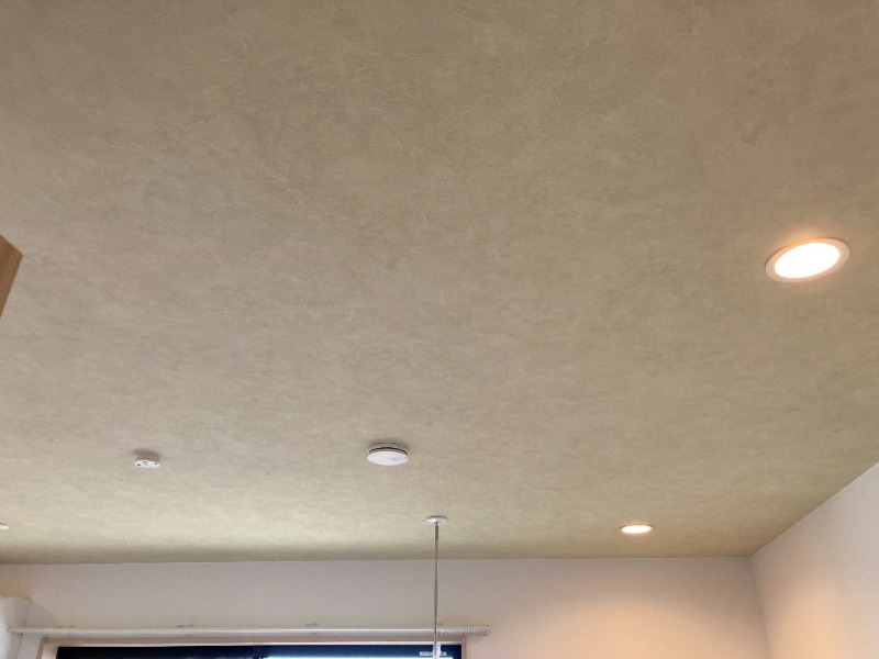 El Camino（ｴﾙ ｶﾐｰﾉ）3階 部屋その他