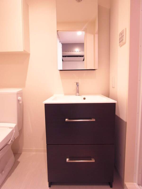 リブリ・東上野7階 洗面