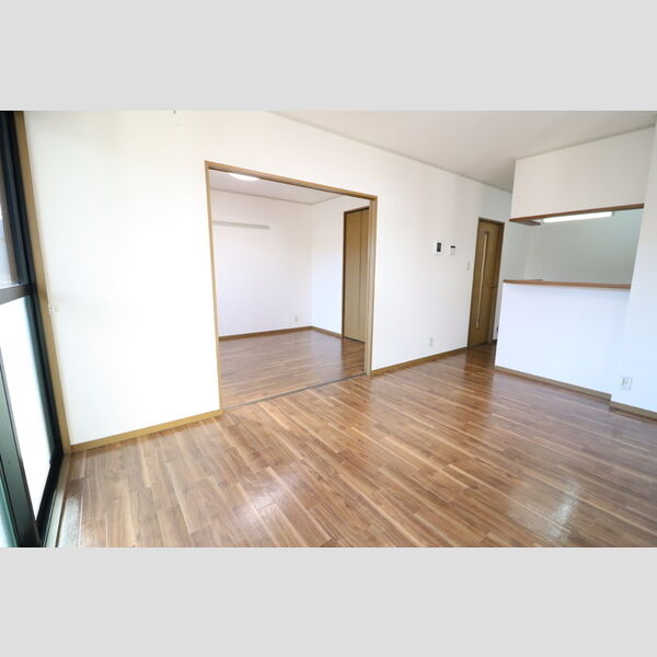 ルミナール・デュオ201号室 LDK