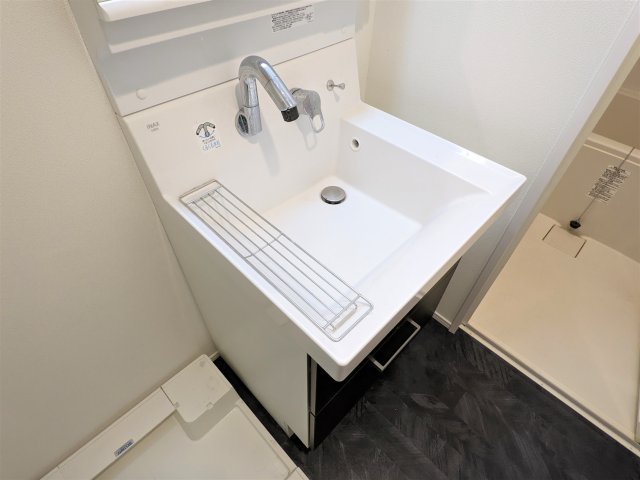 ハーモニーレジデンス板橋シティサイト204号室 洗面
