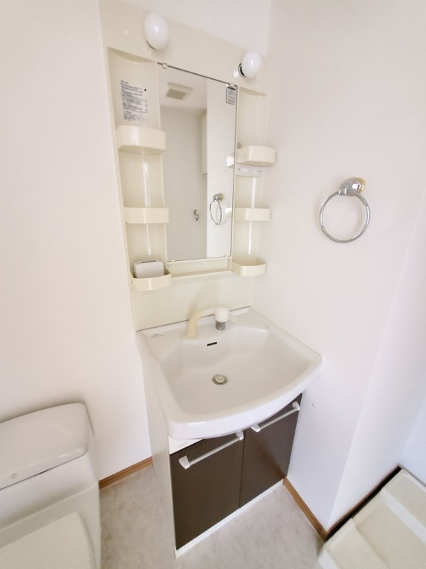 メゾン・ド・ルミエール東山 洗面