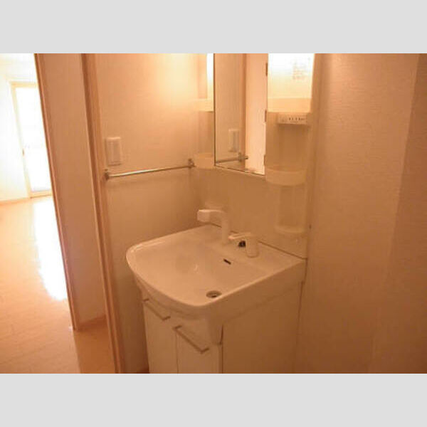 ロイヤルヒル North・SouthN201号室 洗髪洗面化粧台