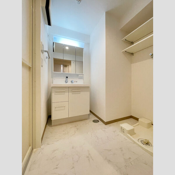 Garden House Ⅲ 大宮土呂駅前701号室 洗面室