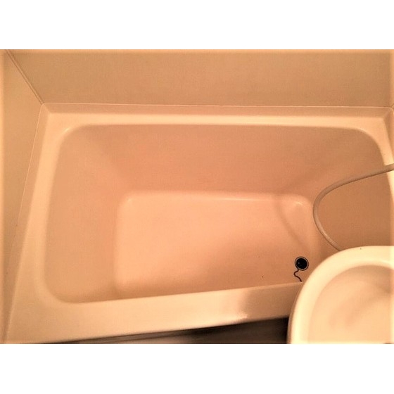 ダイヤモンドレジデンス北大塚0203号室 バス