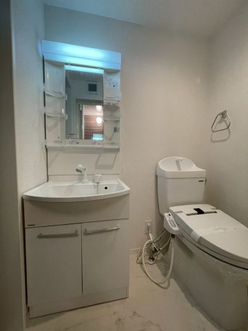 ベイフラット南太田102号室 洗面