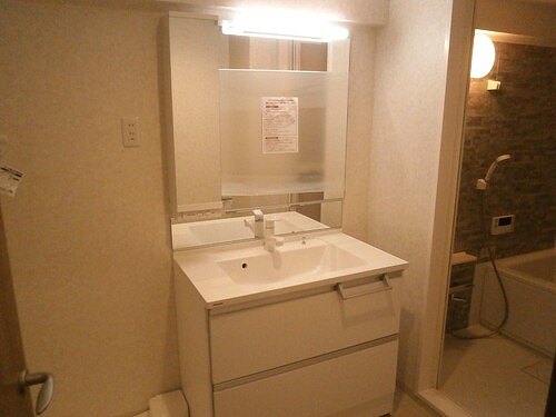 ライオンズマンション国分寺第３1階 洗面所