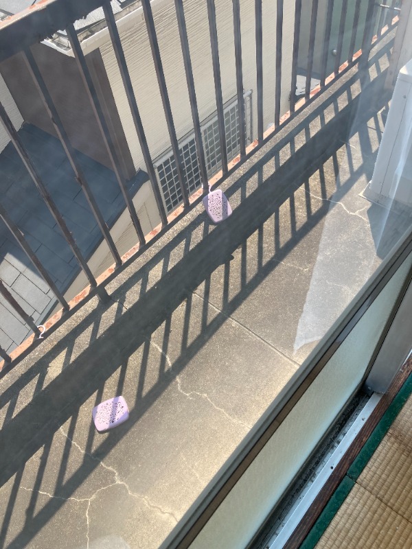 北浦和レジデンス3階 ※別部屋参照