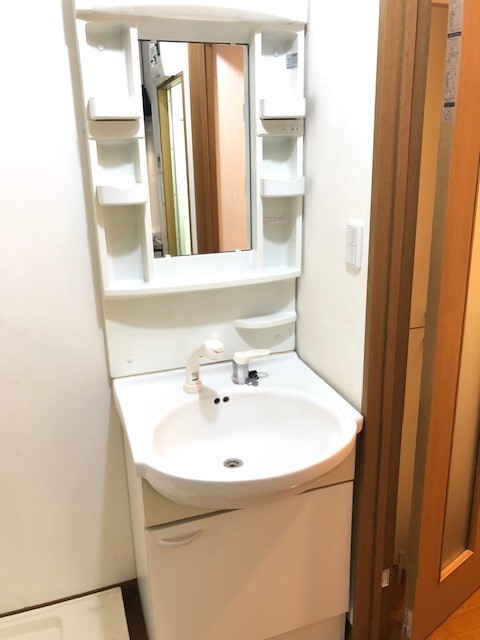 アビターレ南阿佐ヶ谷0102号室 洗面