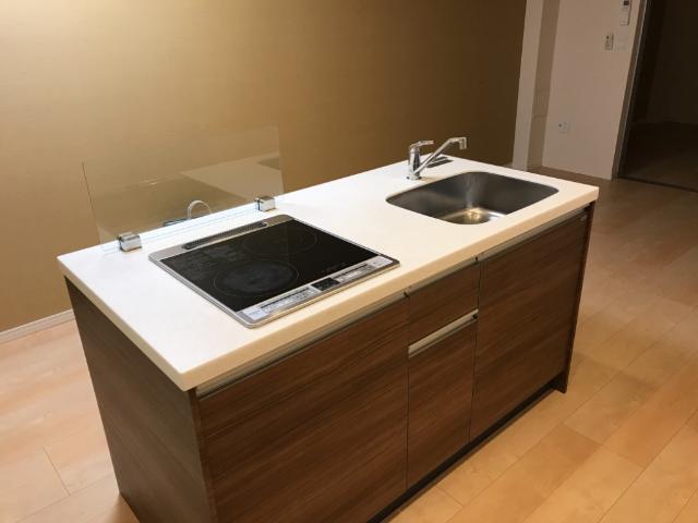 リバーサイドカネヤマ アイランドキッチン（イメージ）