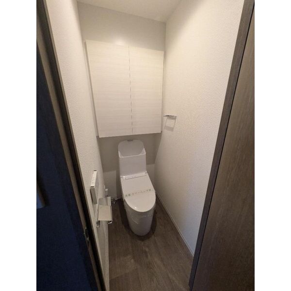 ミルーナヒルズD駒込603号室 部屋その他