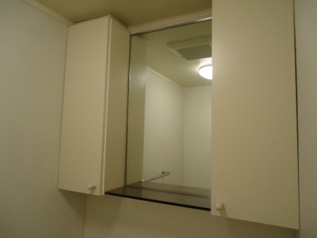 ドミールシャルマン305号室 トイレ上収納