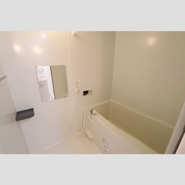 リビングタウン鍵山　C305号室 浴室