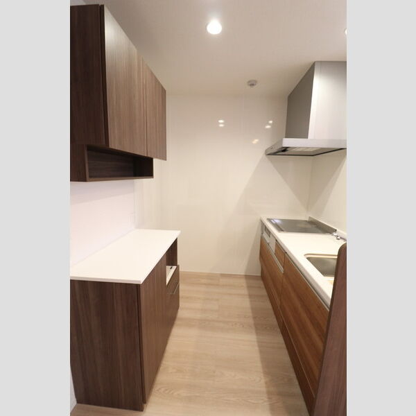 ユートリー　Ⅲ203号室 システムキッチン