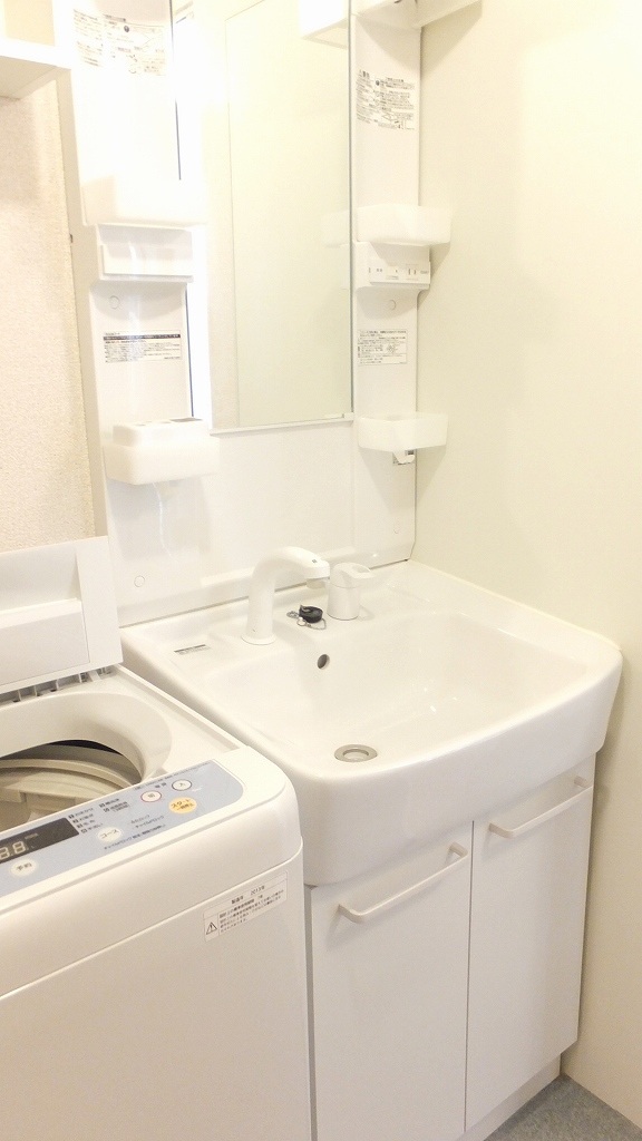 レオネクストマンダリーヌⅥ 独立洗面台