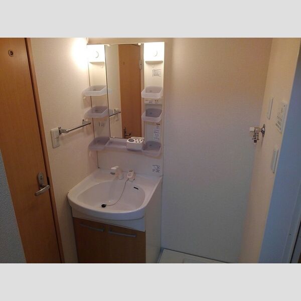 ラ・プランタン102号室 洗髪洗面化粧台