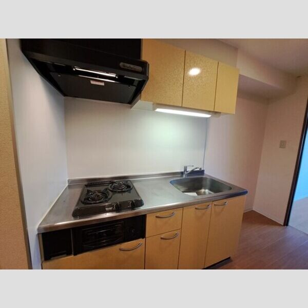 GLOIRE　MANSION405号室 システムキッチン