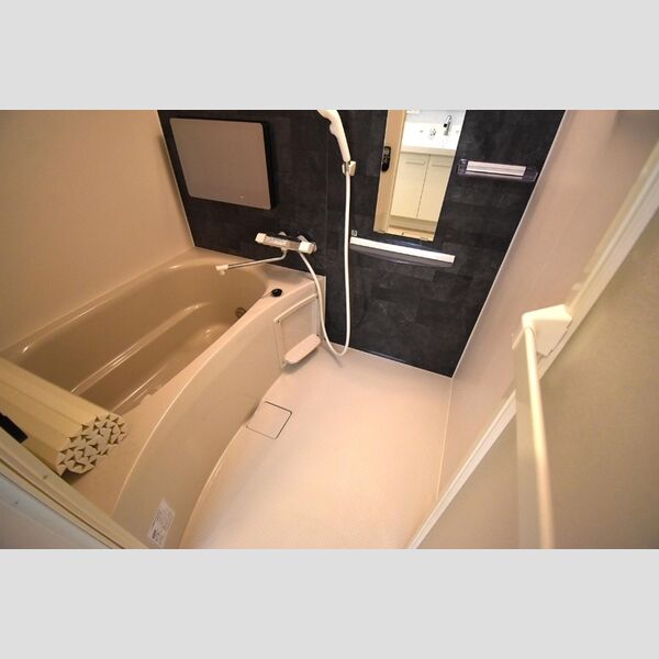 Dレジデンス大和田102号室 浴室