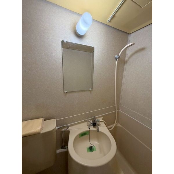 カーサ・グランデC棟 洗面