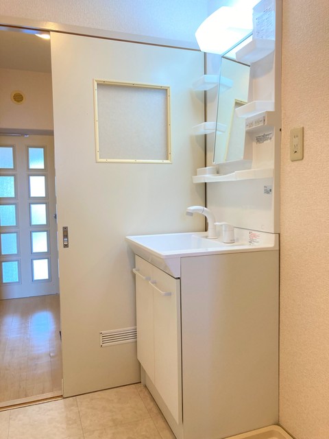 エクセレンス湘南台 洗面