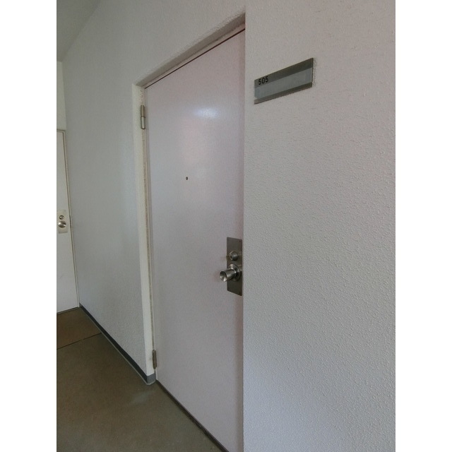 ビジネスワン505号室 玄関