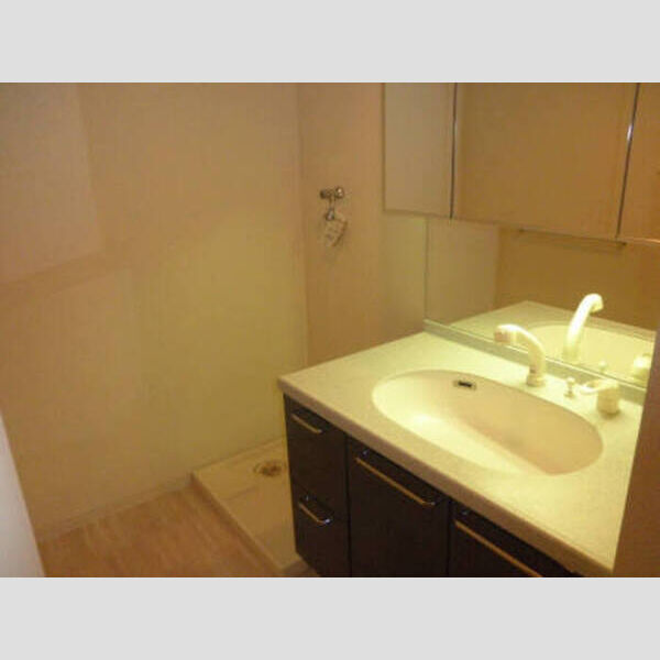 ロイヤルKJ406号室 Eタイプ洗髪洗面化粧台(色違い)