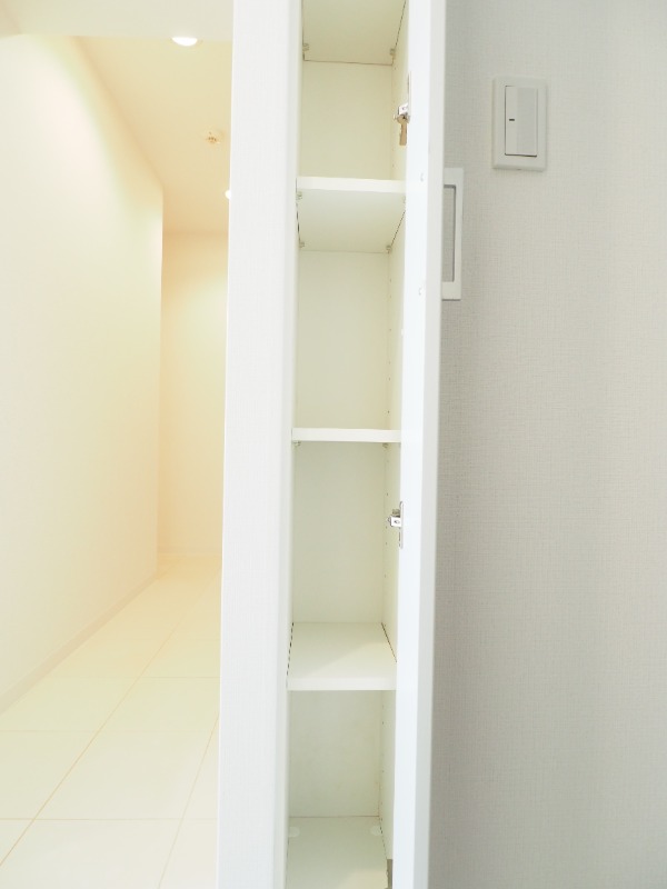 レジディア南雪谷3階 収納