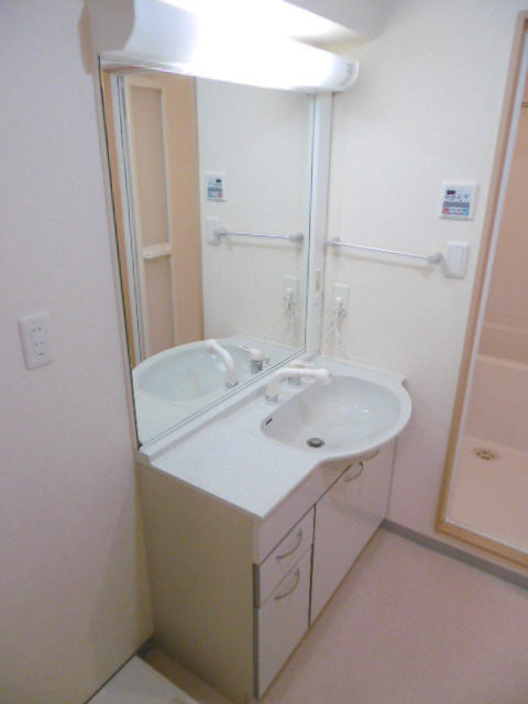 トレセリア横山1001号室 洗面所