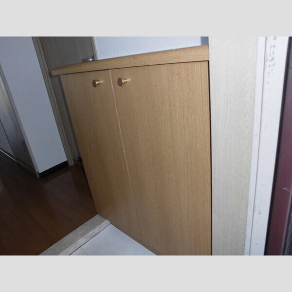 リブラ川崎 玄関