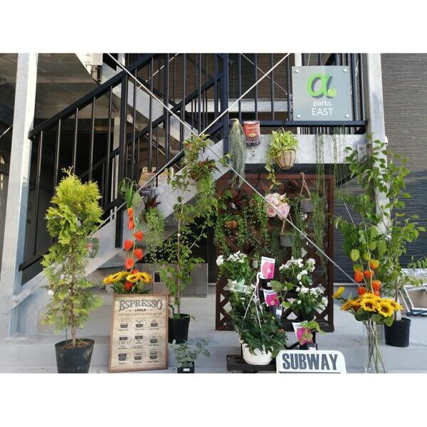 α(アルファ)　parks　east204号室 エントランス