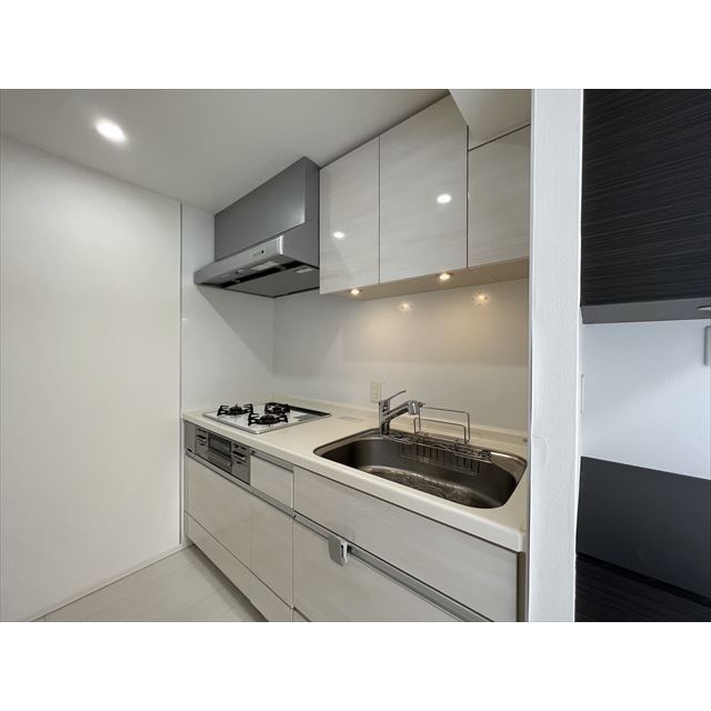 プレミアムキューブ新中野701号室 3口システムキッチン